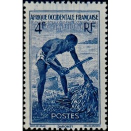 AOF - 36