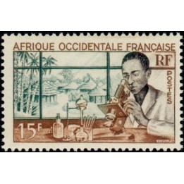 AOF - 48