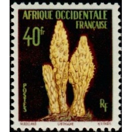 AOF - 71