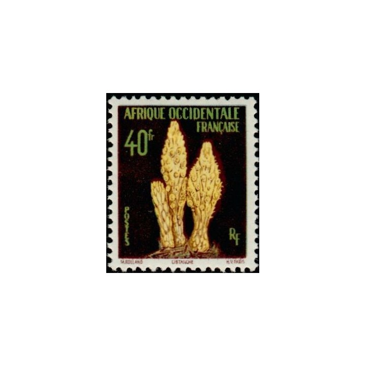 AOF - 71