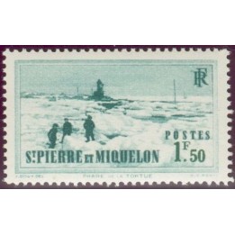 Saint-Pierre et Miquelon - 0182
