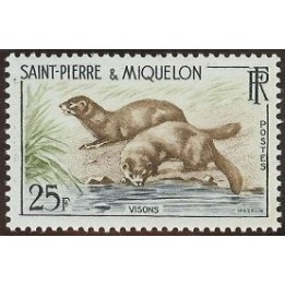 Saint-Pierre et Miquelon - 0361