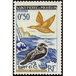Saint-Pierre et Miquelon - 0364