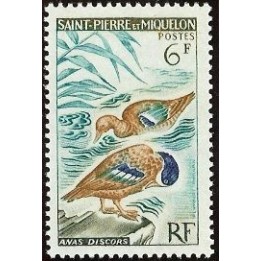 Saint-Pierre et Miquelon - 0367