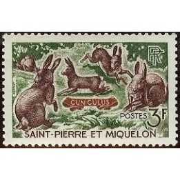 Saint-Pierre et Miquelon - 0372