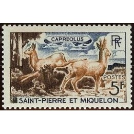 Saint-Pierre et Miquelon - 0374