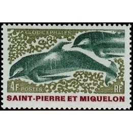 Saint-Pierre et Miquelon - 0393