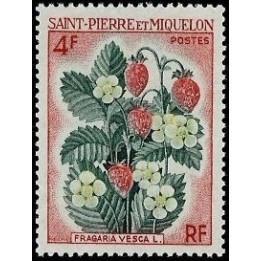 Saint-Pierre et Miquelon - 0402