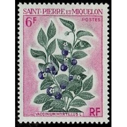 Saint-Pierre et Miquelon - 0404