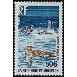 Saint-Pierre et Miquelon - 0425