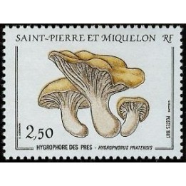Saint-Pierre et Miquelon - 0475