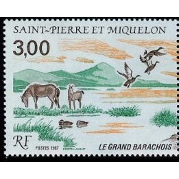 Saint-Pierre et Miquelon - 0484