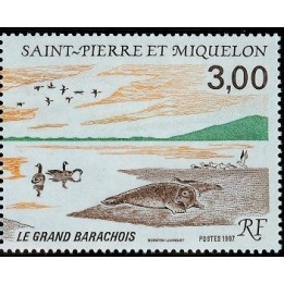 Saint-Pierre et Miquelon - 0485