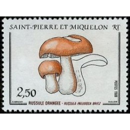 Saint-Pierre et Miquelon - 0486
