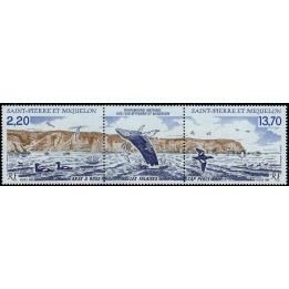 Saint-Pierre et Miquelon - 0495A