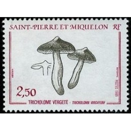 Saint-Pierre et Miquelon - 0497