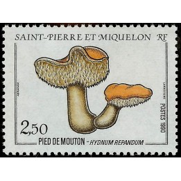 Saint-Pierre et Miquelon - 0513