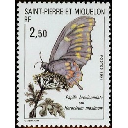 Saint-Pierre et Miquelon - 0534