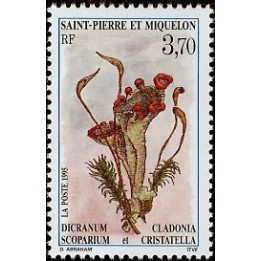 Saint-Pierre et Miquelon - 0611