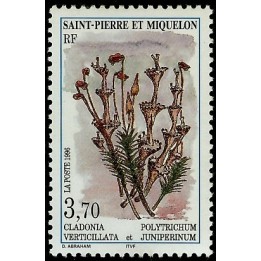 Saint-Pierre et Miquelon - 0626