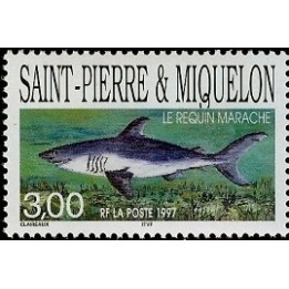 Saint-Pierre et Miquelon - 0647