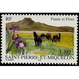 Saint-Pierre et Miquelon - 0671