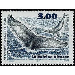 Saint-Pierre et Miquelon - 0707