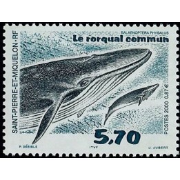 Saint-Pierre et Miquelon - 0708