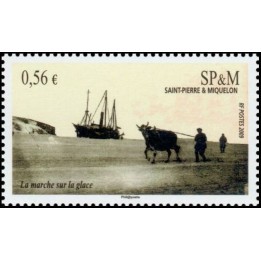Saint-Pierre et Miquelon - 0962