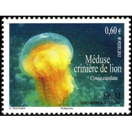 Saint-Pierre et Miquelon - 1035