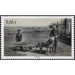 Saint-Pierre et Miquelon - 1105