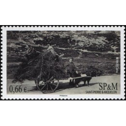 Saint-Pierre et Miquelon - 1107