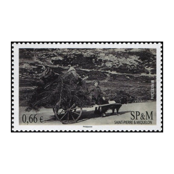 Saint-Pierre et Miquelon - 1107