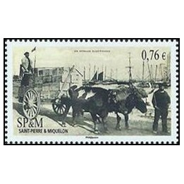 Saint-Pierre et Miquelon - 1131