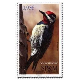Saint-Pierre et Miquelon - 1198