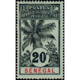 Senegal - 036