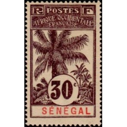 Senegal - 038