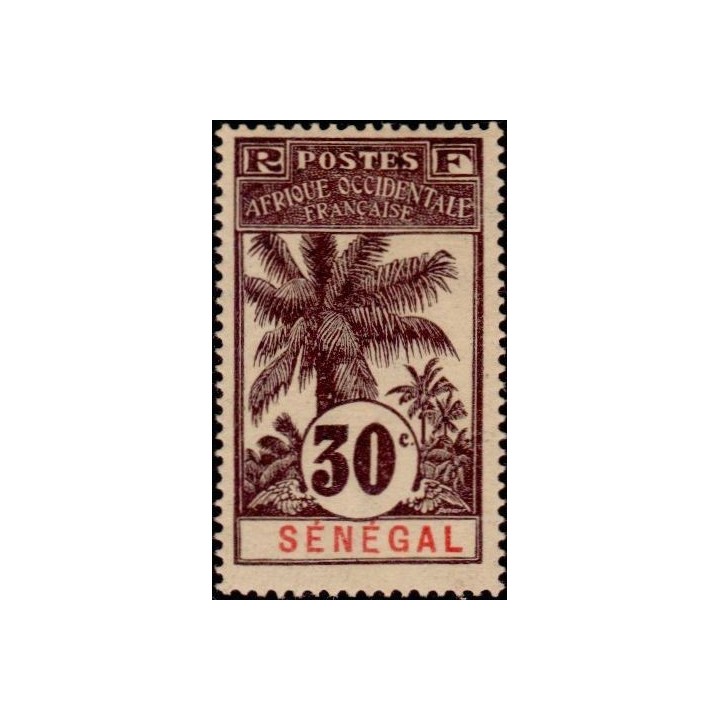 Senegal - 038