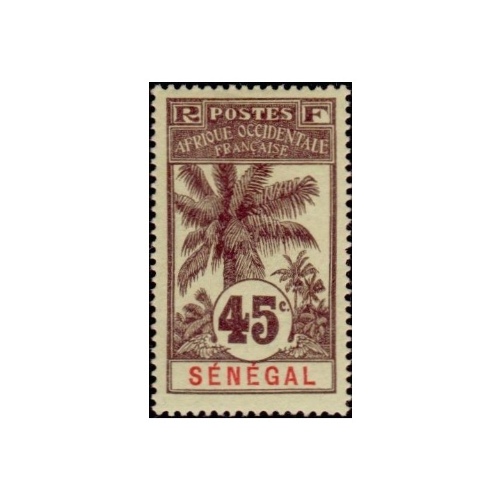 Senegal - 041