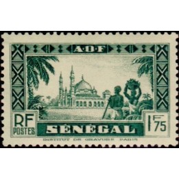 Senegal - 132