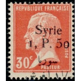 Syrie - 145