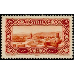 Syrie - 157