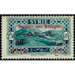 Syrie - 174