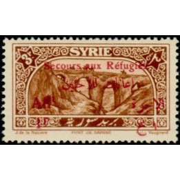 Syrie - 175