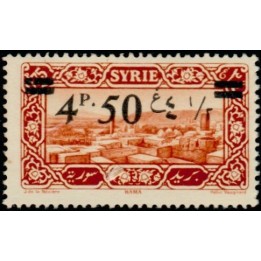 Syrie - 181