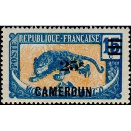 Cameroun - 101