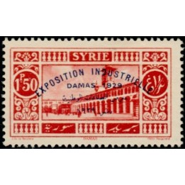 Syrie - 194