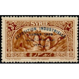Syrie - 195