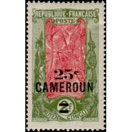Cameroun - 102