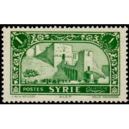 Syrie - 204